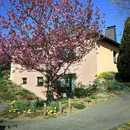Holiday Home In Olsdorf Bettingen Exterior photo