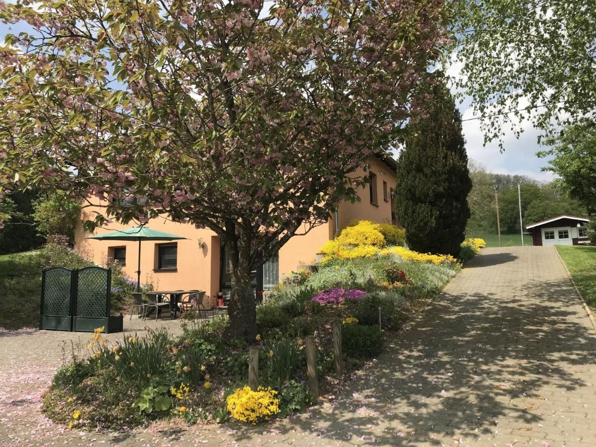 In Olsdorf Appartamento *