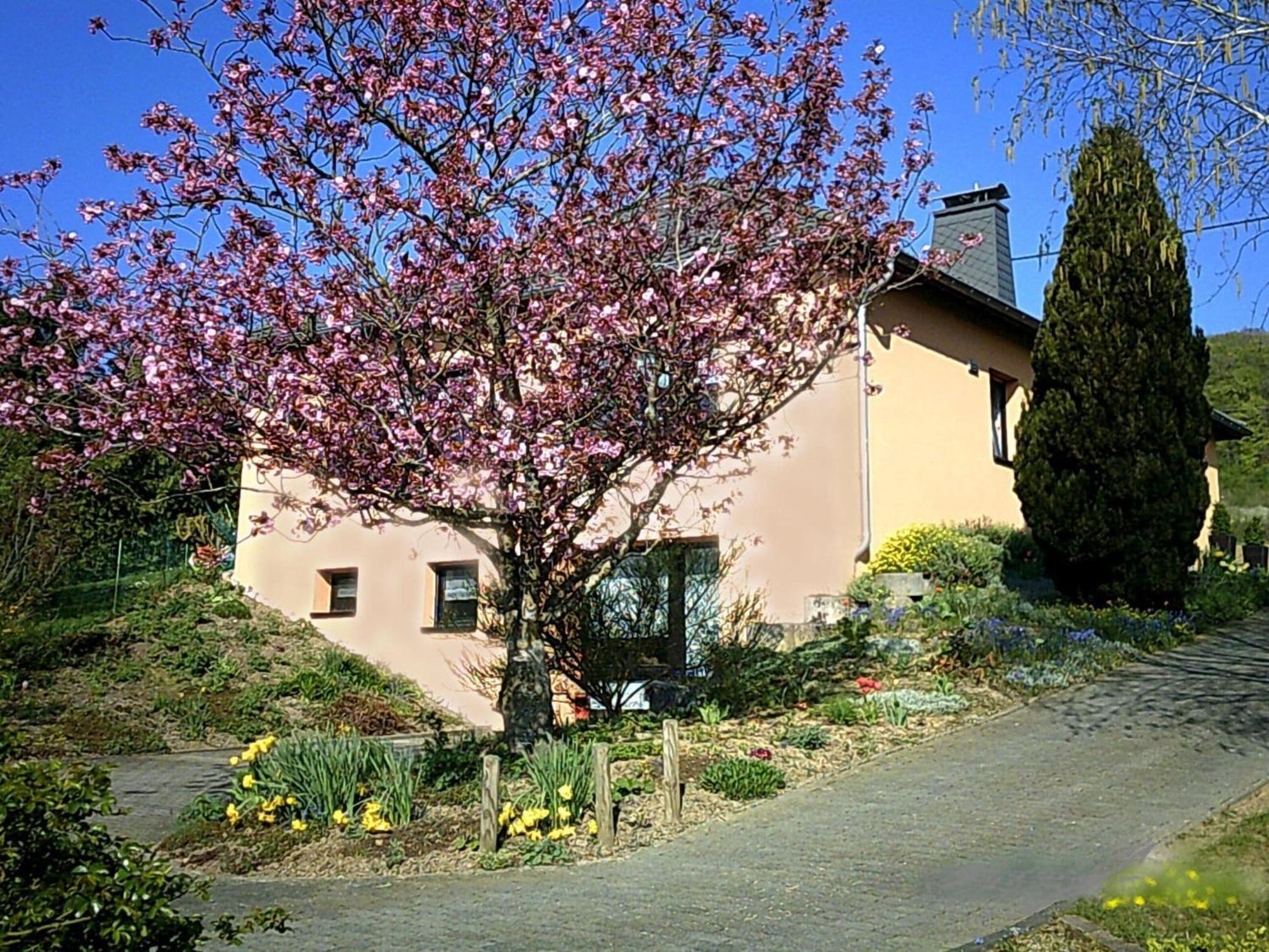 In Olsdorf